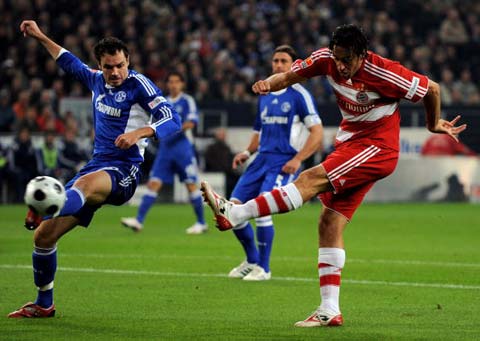 好者們期待 好者們期待